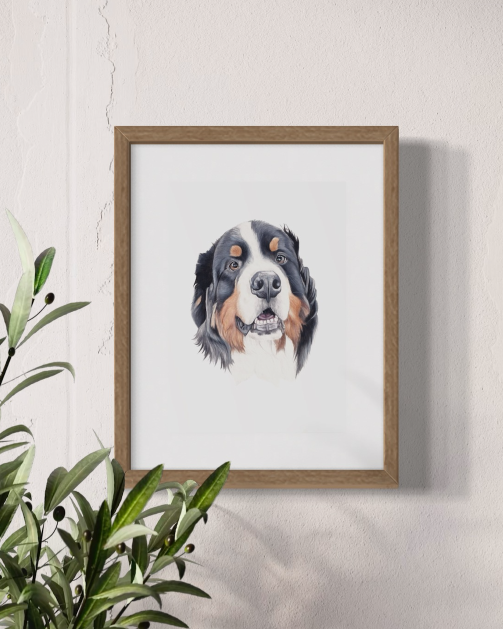 Winter the Burmese Mountain Dog Print