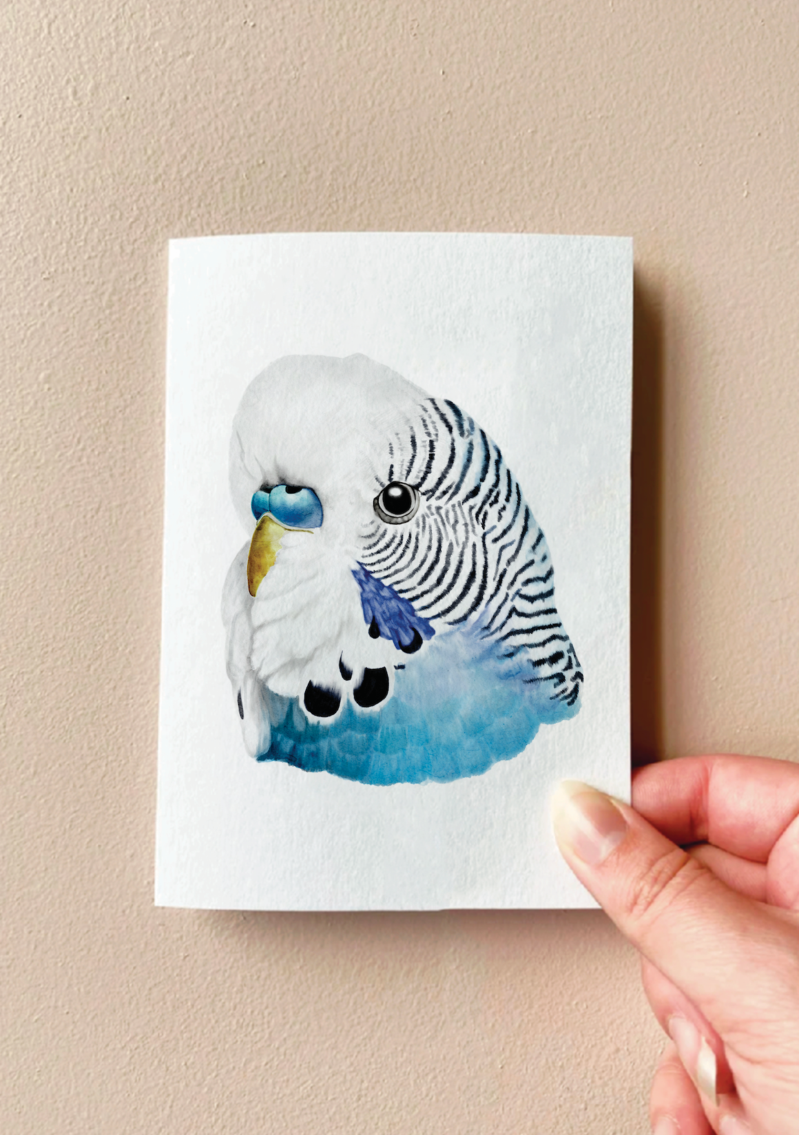 Pete the Blue Budgie Card