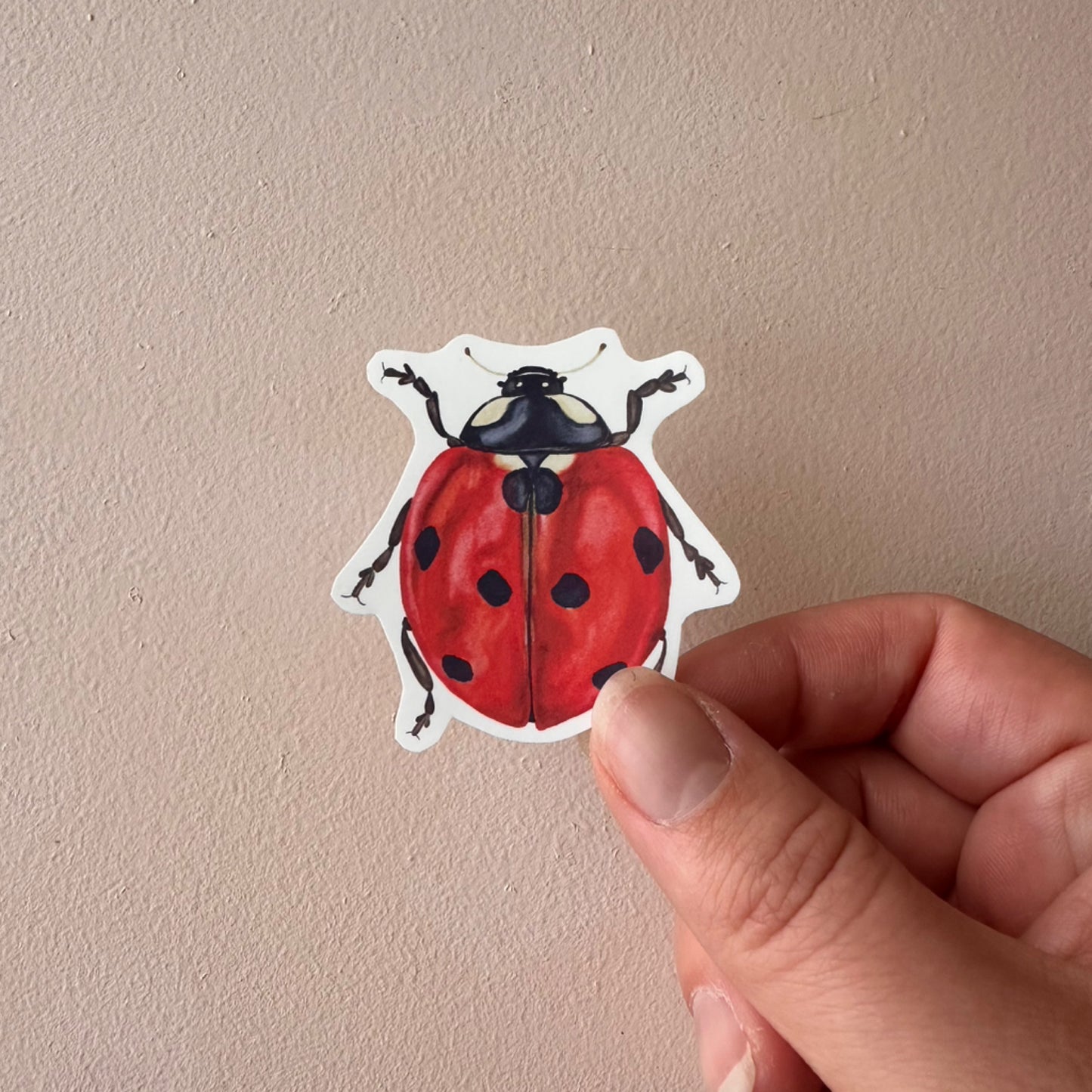 Vera the Lady Bug Sticker