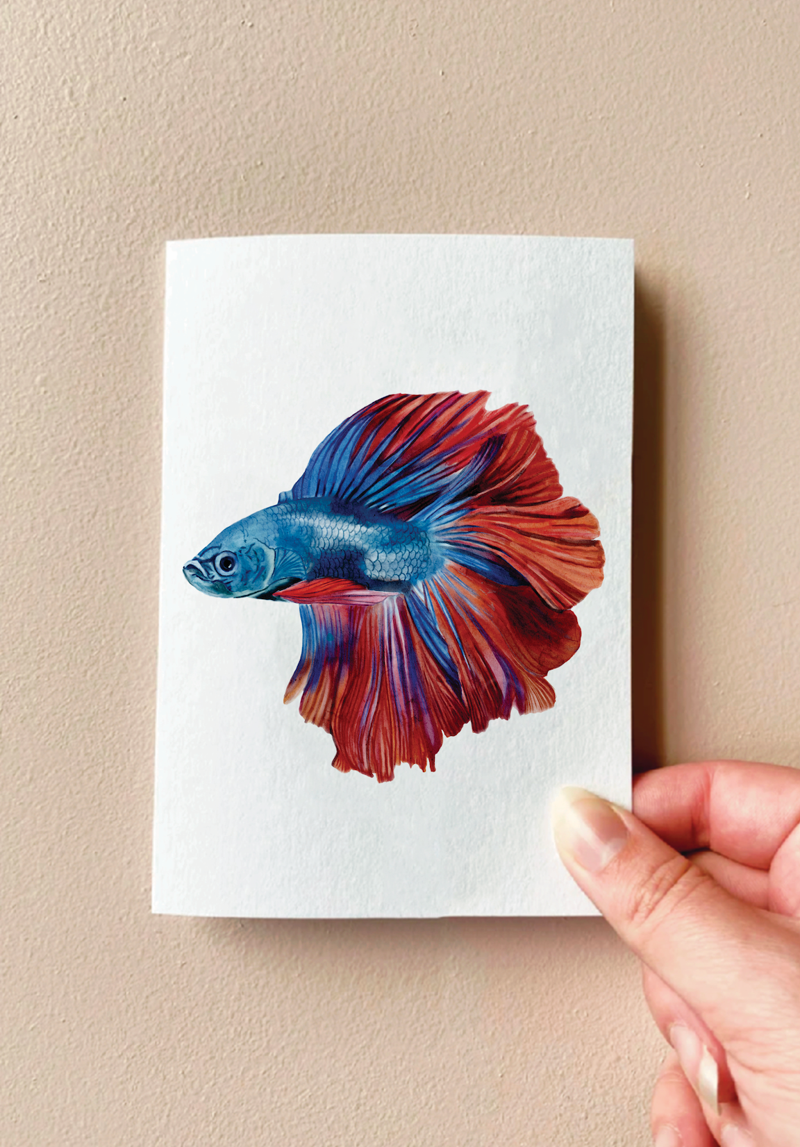 Xavier the Fighting Fish Card – Annalise Paints