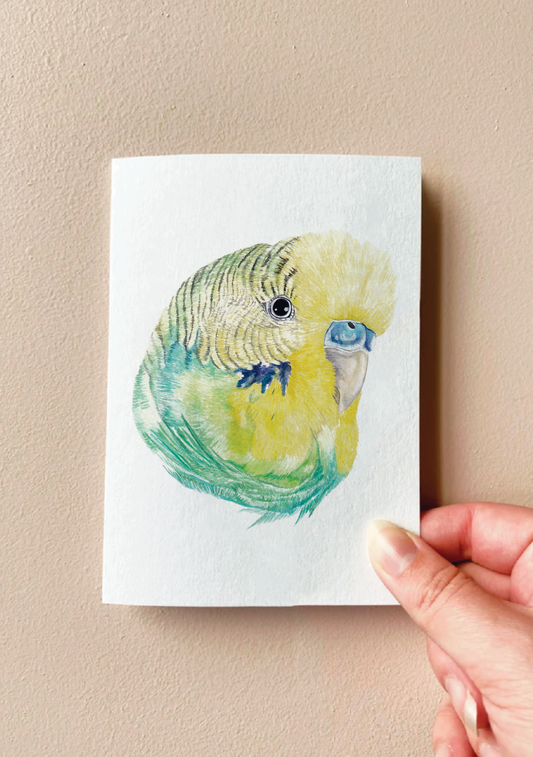 Axel the Budgie Card