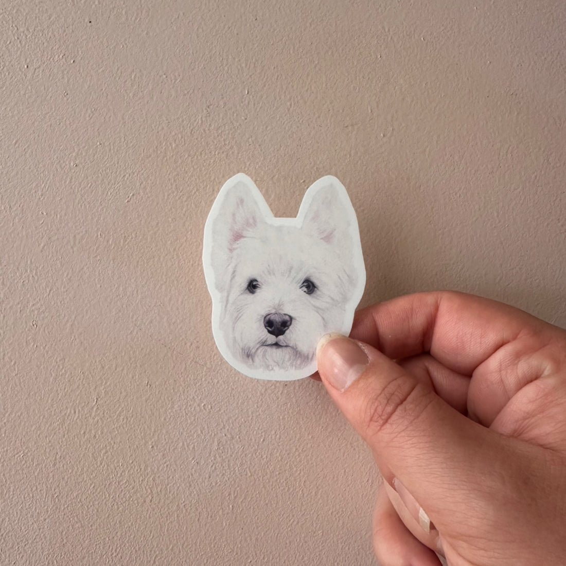 Angus the Westhighland Sticker – Annalise Paints