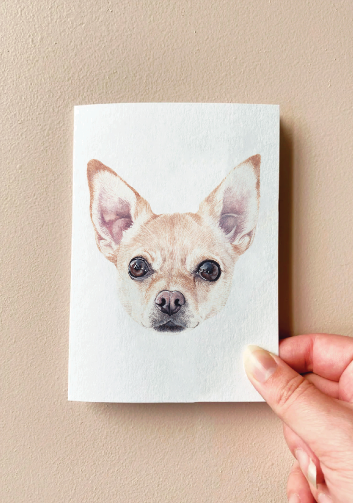 Pepe the Chihuahua Card