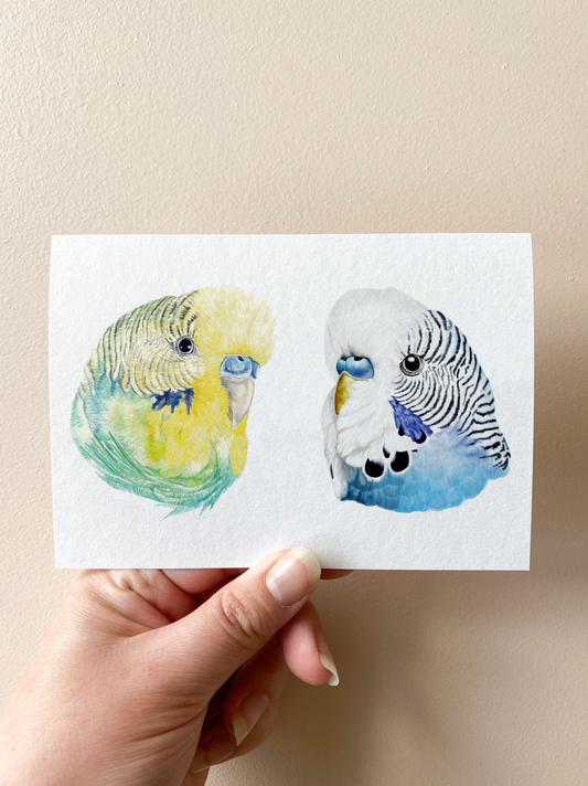 Axel & Pete Budgie Card