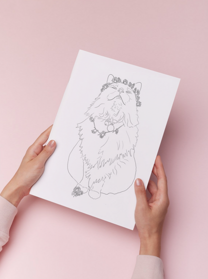 Custom Line Drawings