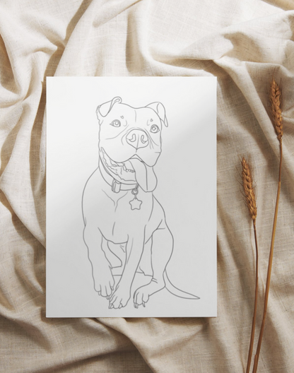 Custom Line Drawings