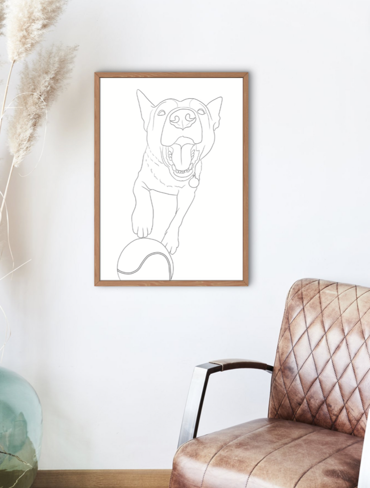 Custom Line Drawings