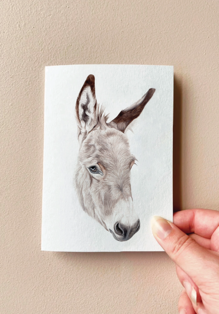 Comet the Miniature Donkey Crd