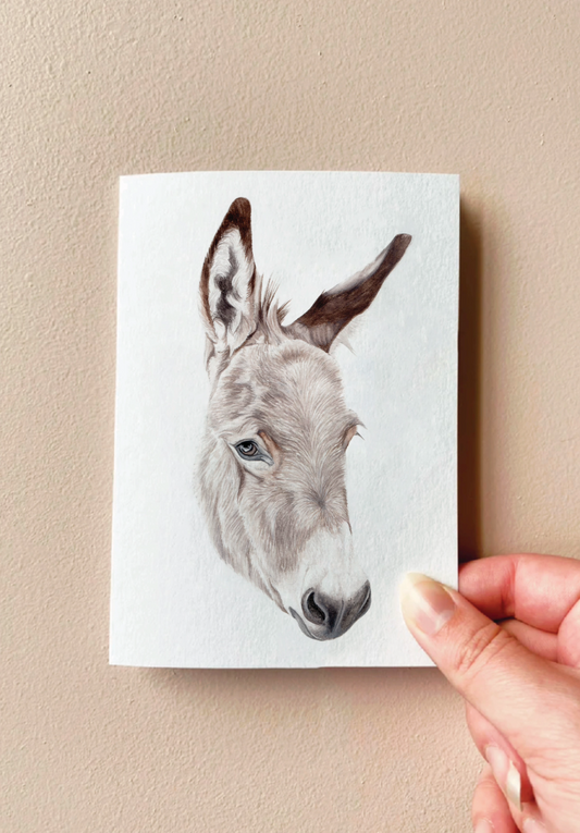 Comet the Miniature Donkey Crd