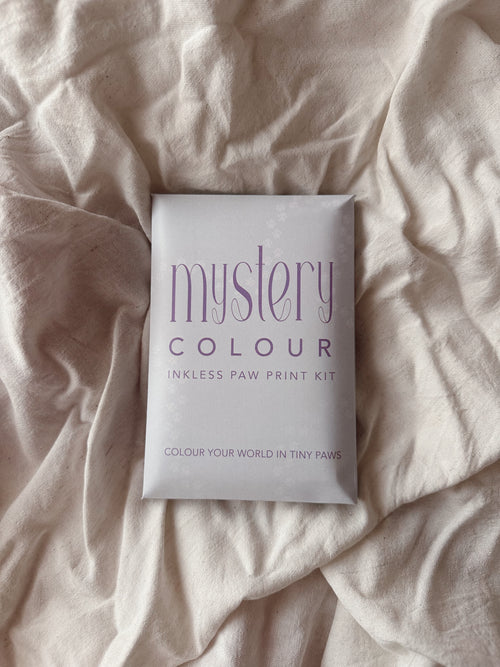 Mystery Colour Inkless Paw Print Kit
