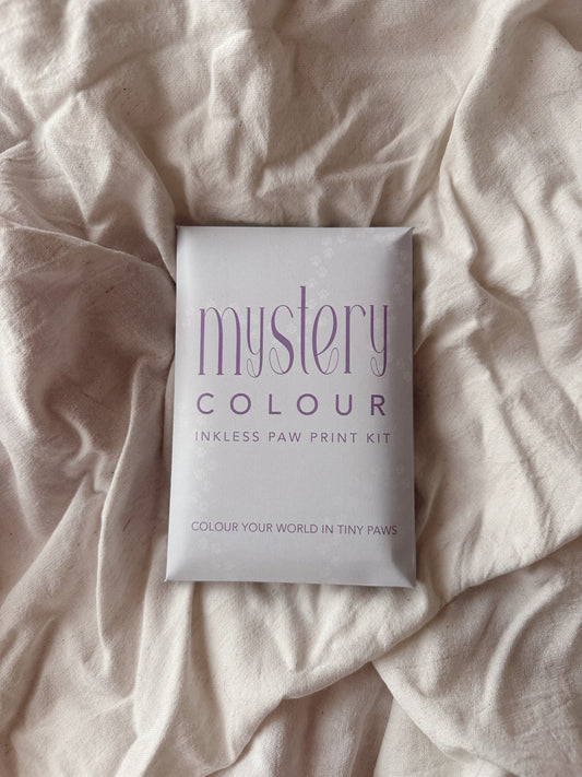 Mystery Colour Inkless Paw Print Kit