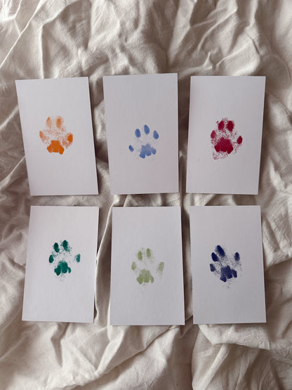 Mystery Colour Inkless Paw Print Kit