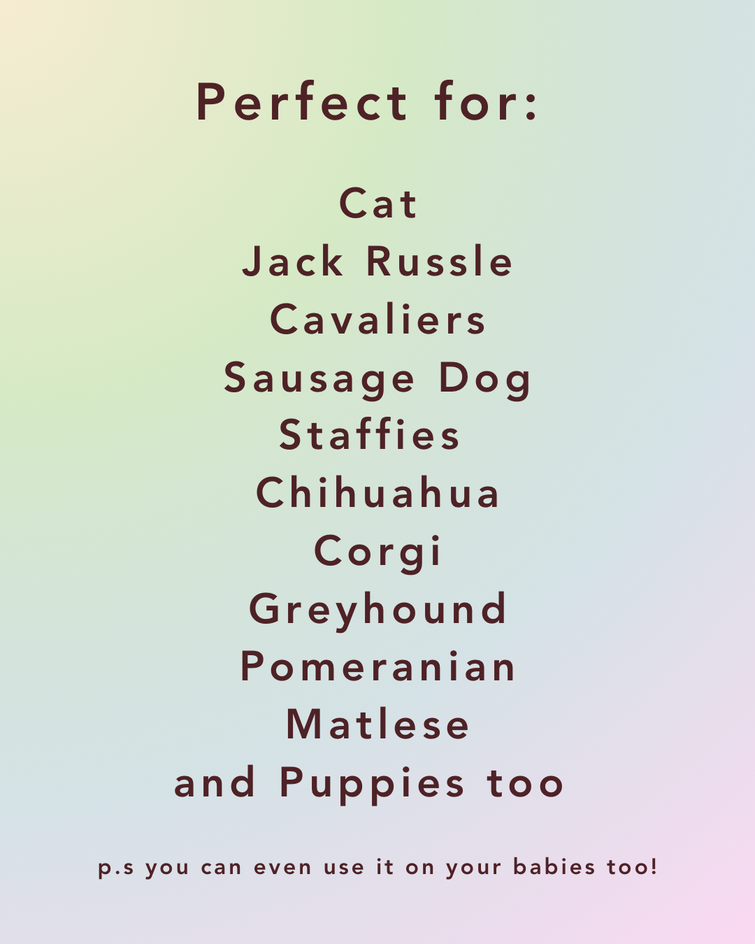 Mystery Colour Inkless Paw Print Kit