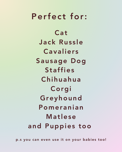 Mystery Colour Inkless Paw Print Kit