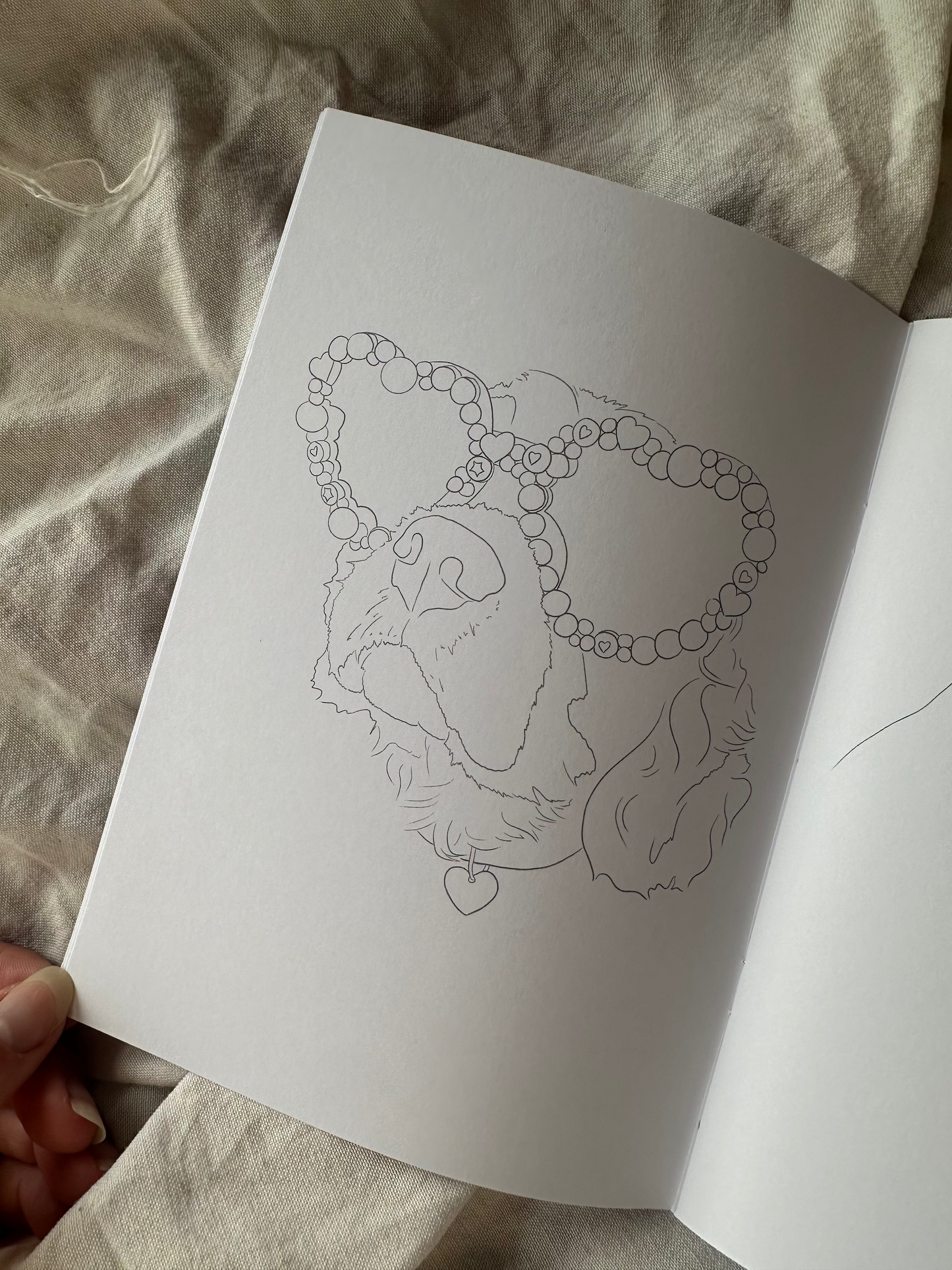 Meow Woof Colour Pet Inspired Colouring Book