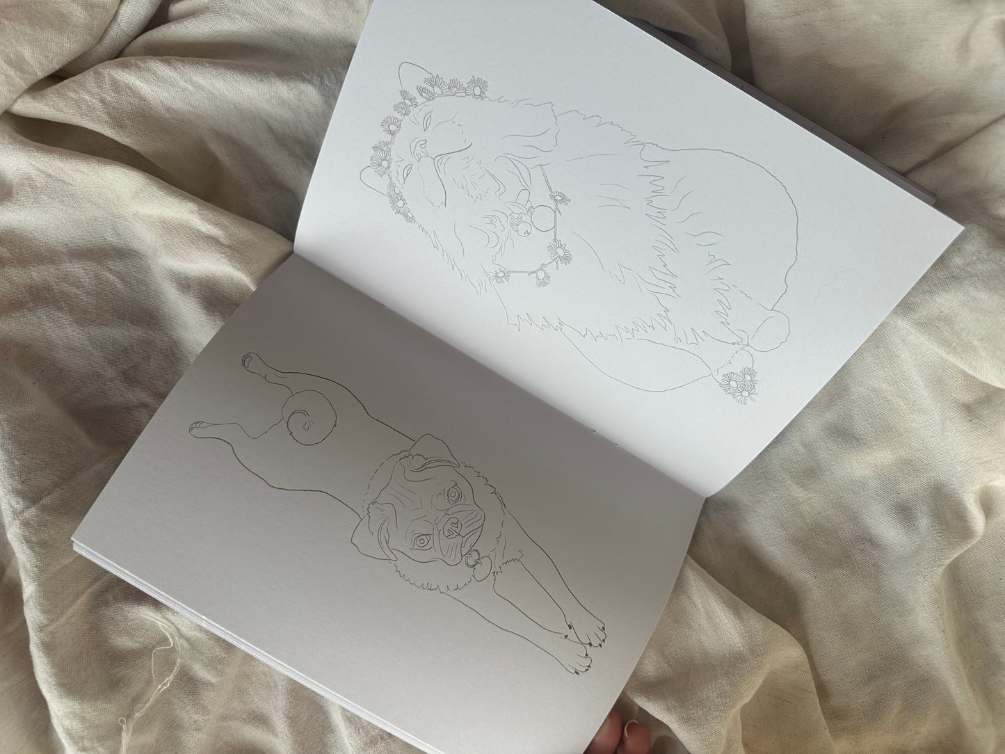 Meow Woof Colour Pet Inspired Colouring Book