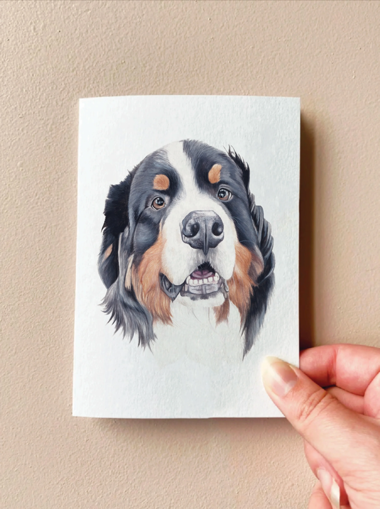 Winter the Bernese Mountain Dog Card