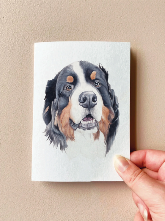 Winter the Bernese Mountain Dog Card