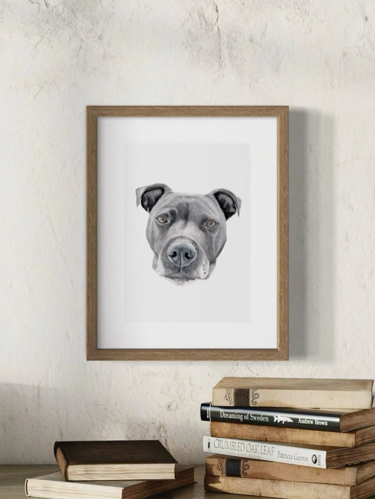 Hunter the Staffy Print