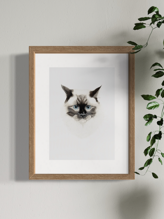 Leo the Ragdoll Print