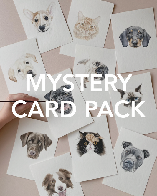 Black Friday Mystery Card Pack