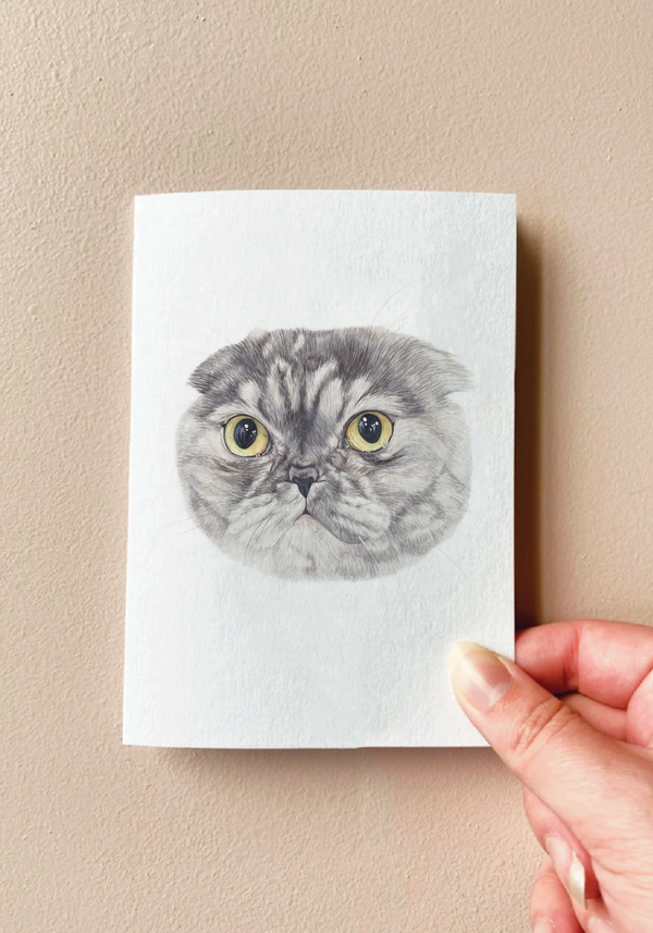Peaches the Scottishfold Card