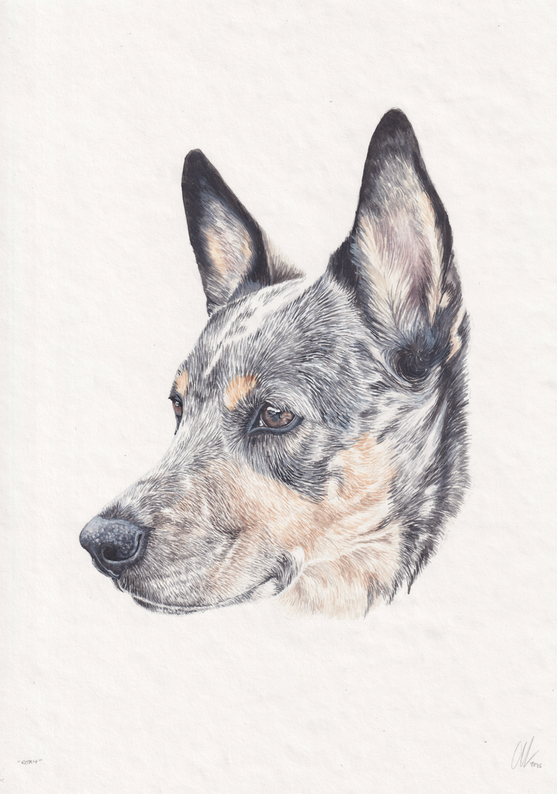 Roxy A4