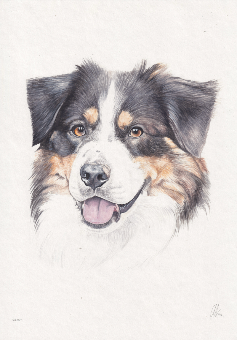 Bella