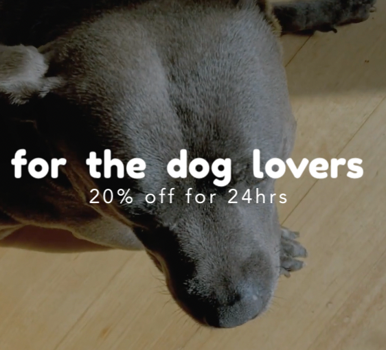 Happy International Dog Day!