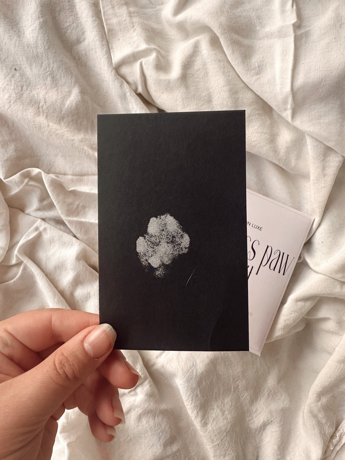 Limited Edited Luxe Silver Inkless Paw Print Kit