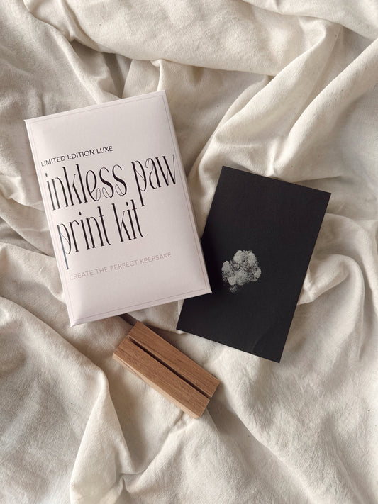 Limited Edited Luxe Silver Inkless Paw Print Kit
